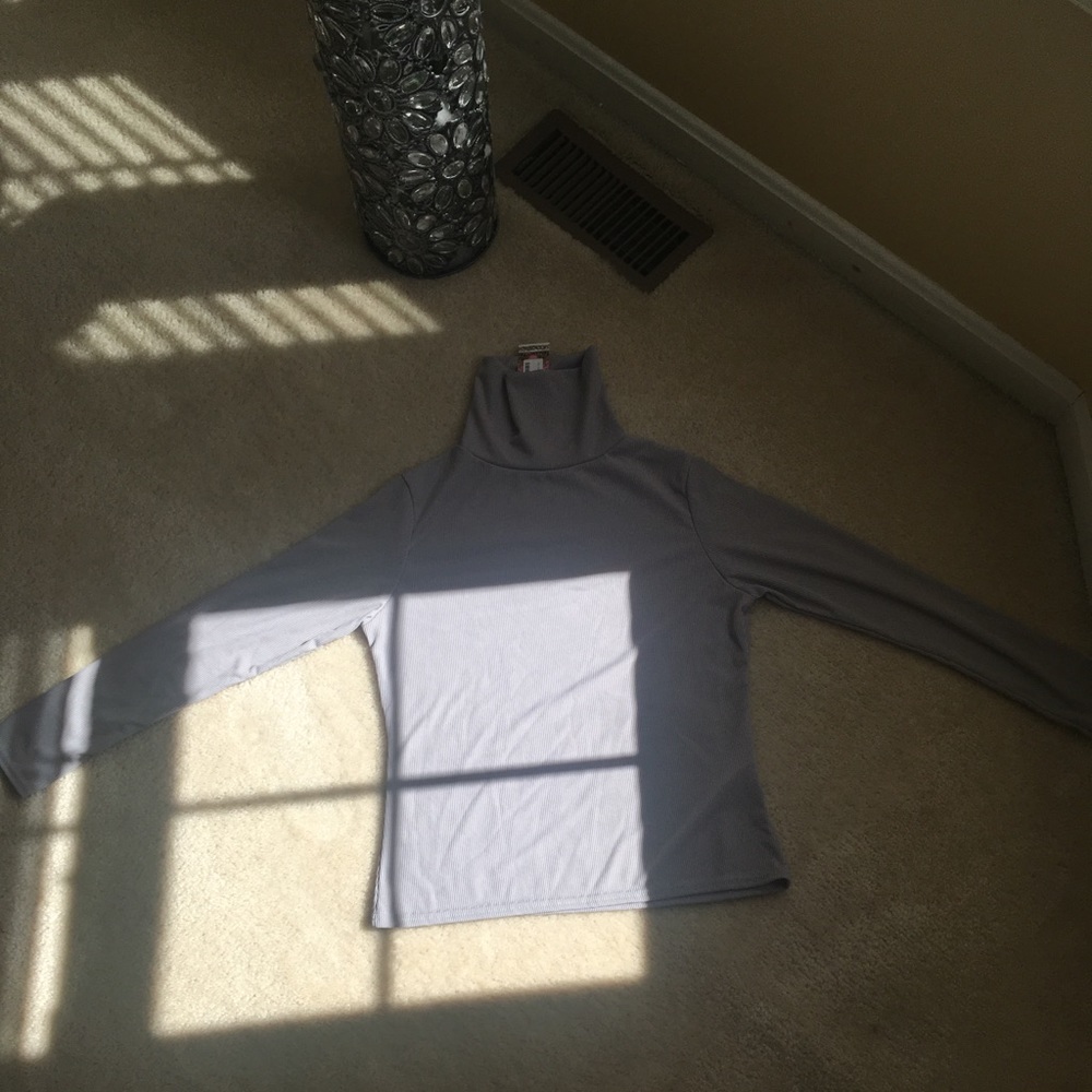 Petite Long Sleeved Turtle Neck Top